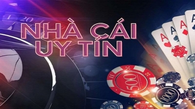 Tại sao nên chơi cá cược tại nhacaiuytin.id - Nhà cái uy tín số 1 Việt Nam